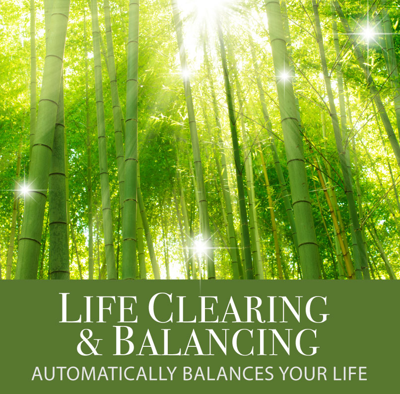 Life Clearing
